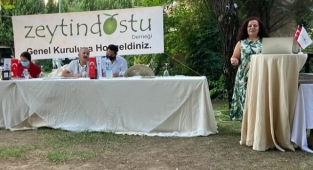 2021-2022 dönemi zeytin hasadı sürüyor