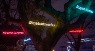 Işık Enstalasyon Sergisi