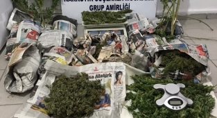 Şafak Operasyonu