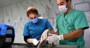Can dostların Zeynep Ablası