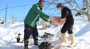 Dondurucu soğukta da can dostlar unutulmuyor