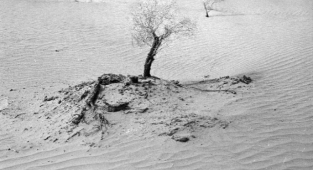 İpek Yolu'nda ve zamanda geriye yolculuk