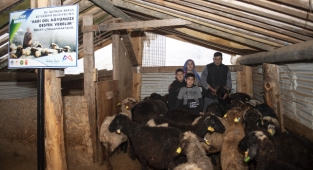 ‘Haydi Gel Köyümüze Destek Verelim’ Projesi damızlıklarla çoğalıyor
