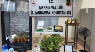 Jandarma'da evde uyuşturucu üretim ve satışına operasyon