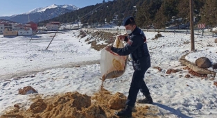 Yaban hayvanları korumak için çalışıyor