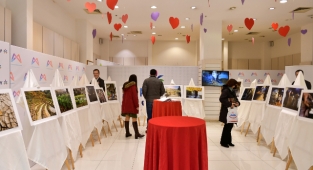 Büyükşehir'den 8 Mart etkinlikleri