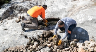 Büyükşehir'in sinek ve haşereyle mücadelesi sürüyor