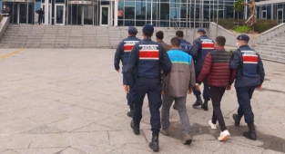 Jandarma'nın yakaladığı 4 hırsıza tutuklama
