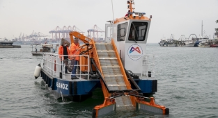 Mersin denizinde canlı türü artıyor