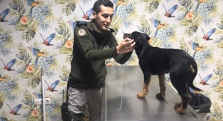 Şiddet gören yavru köpeğe polis sahip çıktı