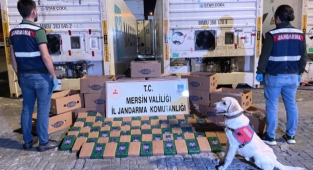Mersin'de Uluslararası uyuşturucu sevkiyatına operasyon