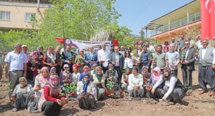 Mezitlili Kadınlar Aronya Üretimine Başlıyor