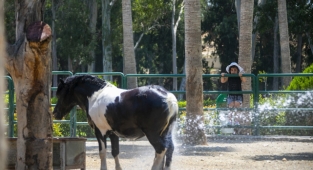 Tarsus Doğa Parkı, 23 Nisan'da çocuklara ücretsiz