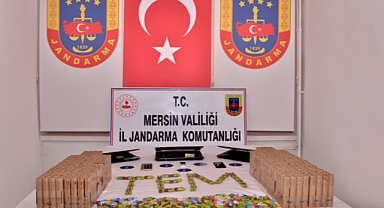 Terör Örgütü PKK/KCK'ya darbe