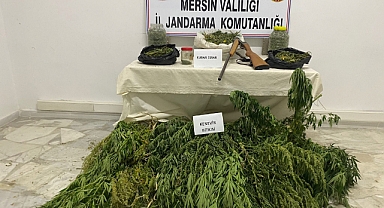 Mut'ta çadırda uyuşturucu imalatı ve satışına jandarma operasyonu