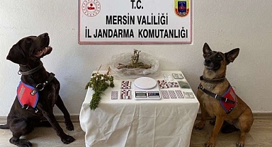 Jandarma’dan uyuşturucu operasyonu 3 gözaltı