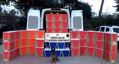Kaçak makaron operasyonu