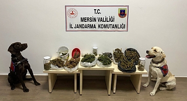 Uyuşturucu satıcıları Jandarma'dan kaçamadı