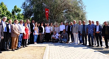 Vali, 1300 yaşındaki zeytin ağacından hasat yaptı
