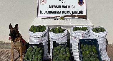 Jandarmanın dikkati sayesinde 3 hırsız yakalandı