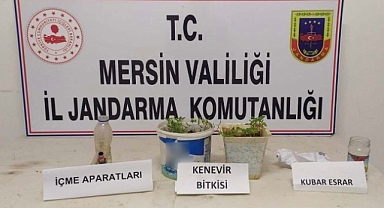 Jandarma'dan Mut'ta uyuşturucu operasyonu