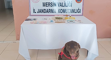 Jandarma'dan Silifke ve Mezitli'de uyuşturucu operasyonu