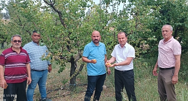 Mut'ta dolu yağışı bahçelere zarar verdi