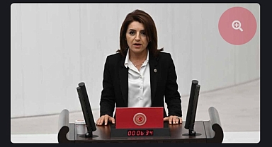 CHP'li Kış'tan SADAT sorusu
