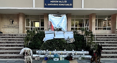 Jandarmadan uyuşturucu operasyonu
