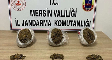 Jandarmadan uyuşturucu operasyonu