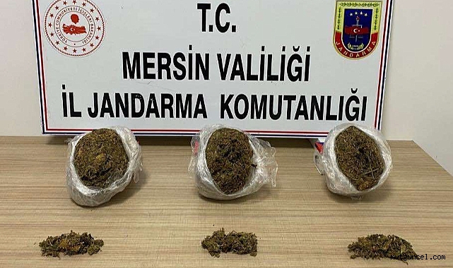 Jandarmadan uyuşturucu operasyonu