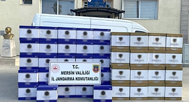 Tarsus'ta 2 milyon kaçak makaron ele geçirildi