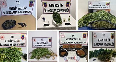 Jandarmadan 9 ilçede 11 ayrı uyuşturucu operasyonu 15 gözaltı