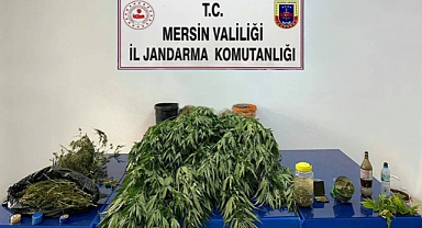 Jandarmadan uyuşturucu operasyonu