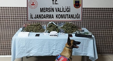 Jandarma uyuşturucu satıcılarını yakaladı
