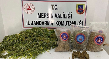 Mersin'de uyuşturucu operasyonu