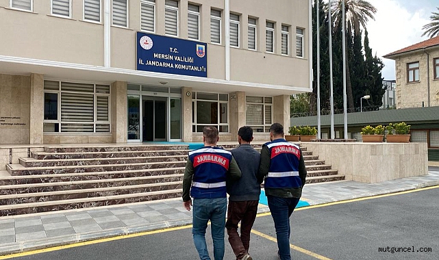 Jandarma, aranan 38 şüpheliyi yakaladı