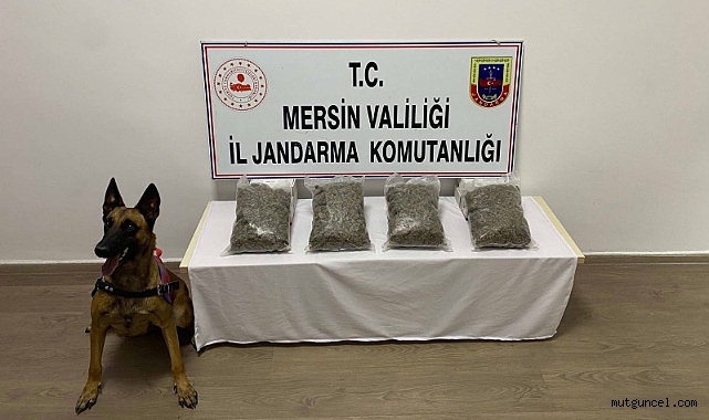 Mersin'de Jandarma 10 kilo esrar yakaladı