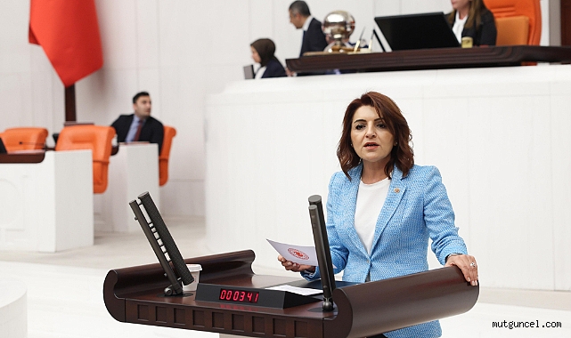 CHP’li Kış:
