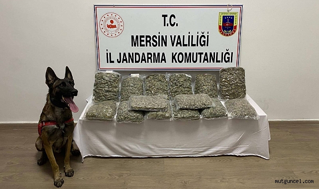 Jandarmadan uyuşturucu operasyonu