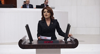 CHP'li Kış: “Emekliler Huzurevlerine rekor başvuru yaptı”