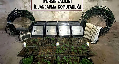 Jandarmadan uyuşturucu operasyonu