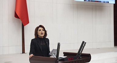 CHP'li Kış: “Zeytinyağı fabrikasına seçmen kaydı yapılmış