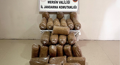 Jandarma 290 kilo kaçak tütün yakaladı