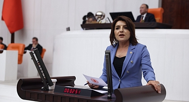 Gülcan Kış'tan Maden Kanunu'na tepki