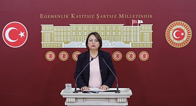 CHP'li Şevkin:
