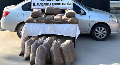 Kaçak tütün operasyonu