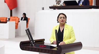 ÇEAŞ ve KEPEZ hissedarlarının mağduriyeti TBMM’de
