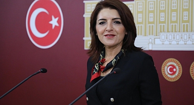CHP'li Kış: