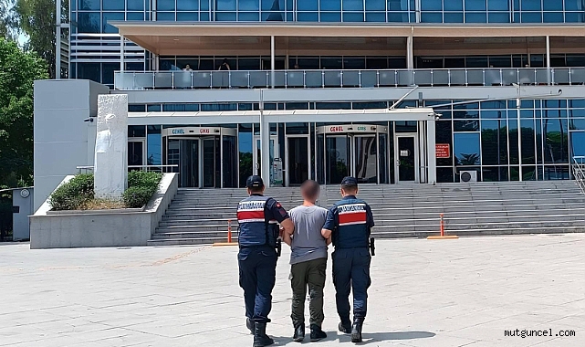 Jandarmadan FETÖ operasyonu 1 tutuklu